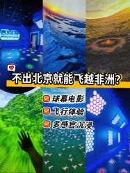 -飞览天下沉浸式飞行体验(北京旗舰店)