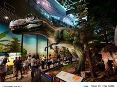 -湖南省地质博物馆