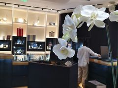 -APM Monaco(朝阳大悦城店)