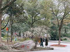 -新洲生态园