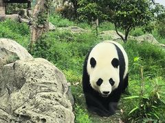 -武汉动物园
