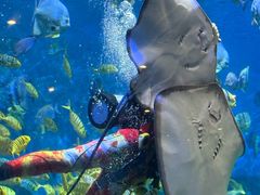 -横店影视城梦幻谷园区