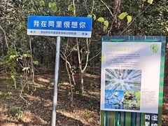 -同里国家湿地公园