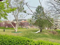 -静之湖度假区