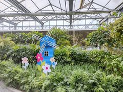 -南宫五洲植物乐园