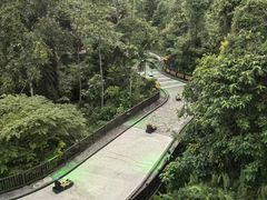 -圣淘沙天际线斜坡滑车