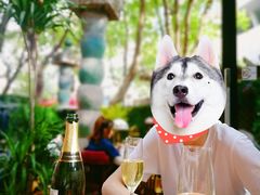 -Golden Lily河内巴黎法越料理餐厅(建国西路店)