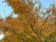 -苏州河梦清园环保主题公园