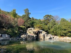 -香山公园