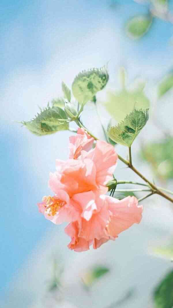 大桶大的价格也合理,下次有时间再去!