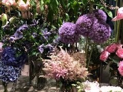 -BEAST野兽派(上海浦东嘉里城店)