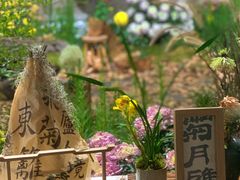-杭州植物园