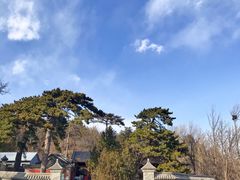 -阳台山自然风景区