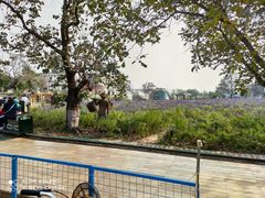 -静之湖湖畔餐厅