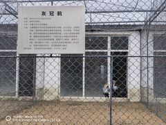 -世纪广场