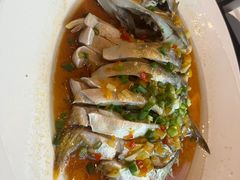 -湛江民大喜来登酒店-采悦轩中餐厅