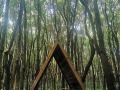 -同里国家湿地公园