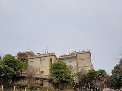 -上海佘山国家森林公园西佘山园