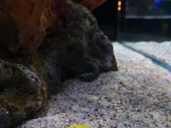 -暹罗海洋世界