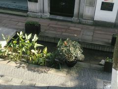 -猫的天空之城概念书店(杭州南宋御街店)