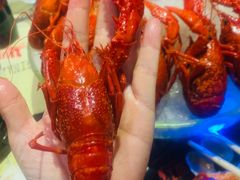 -红钳侠小龙虾·烧烤(中赢康康谷店)
