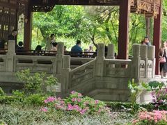 -汇龙潭