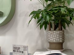 -海马体家庭照相馆(广州正佳广场店)