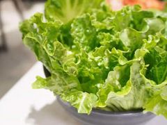 生菜-古乐牛香·鲜牛肉牛杂火锅(象湖店)