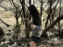 -宝安西湾红树林湿地公园