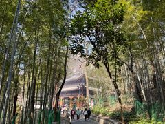 -灵岩山风景区