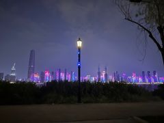 -武汉两江游览·夜游长江(汉口粤汉码头)