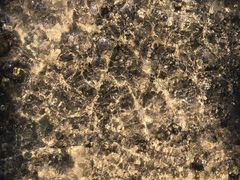 -白水寺森林公园