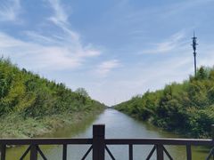 -黄海国家森林公园