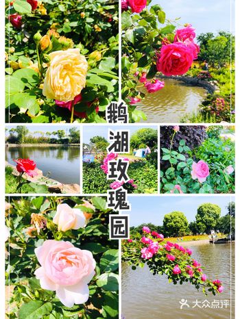 岁月荏苒    匆匆流年        残红碾尘 