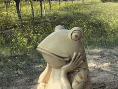 -南大港湿地风景区