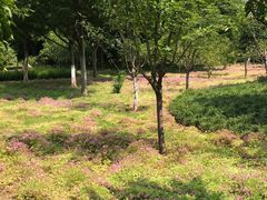 -杭州城北体育公园