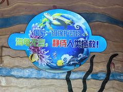 -广东惠东海龟国家级自然保护区
