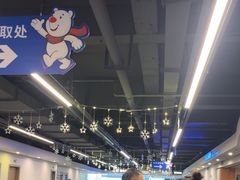 -世界之窗阿尔卑斯冰雪世界