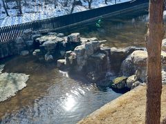 -白水寺森林公园