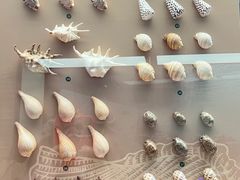 -上海中国航海博物馆