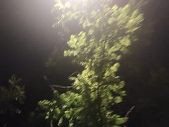 -东方之珠洗浴休闲广场(南开店)
