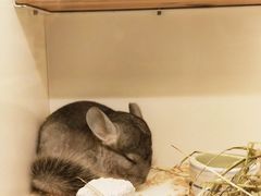 -龙猫仔乐园(惠福东路店)