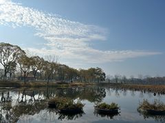-武汉动物园