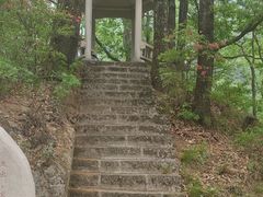 -内乡宝天曼生态旅游区