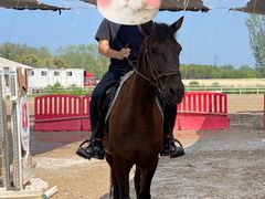 -北京群众马术培训基地