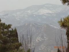 -原山国家森林公园