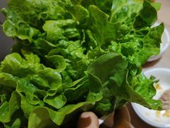 -探窝·竹笙椰子鸡(杨箕店)