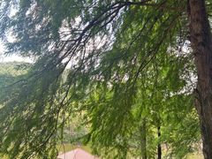 -梅州天地人花园酒店(梅县人民广场店)