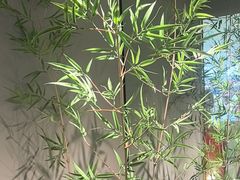 -绿茶餐厅(淮安吾悦广场店)