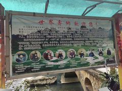 -长寿村